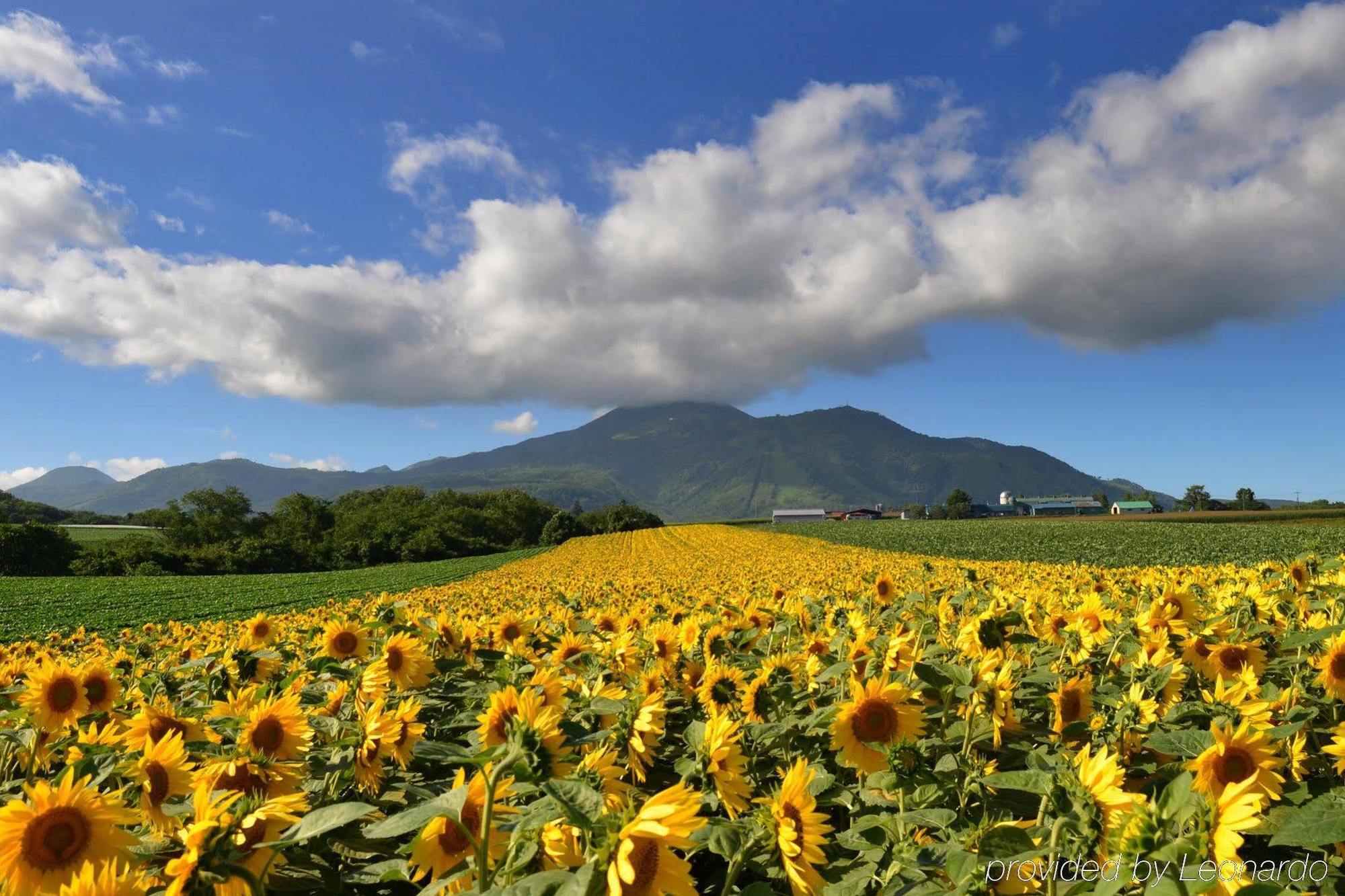 Holiday home Kasara Village Townhouse - Small Luxury Of The World Niseko